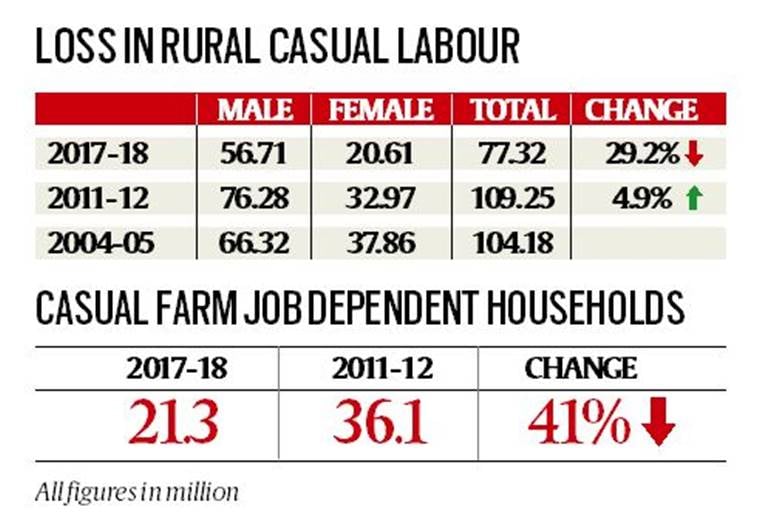 Casual farm labour shrinks by 40 since 201112, total job loss nearly