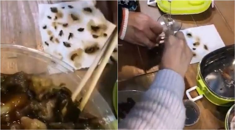 cockroach, cockroach in food, dead cockroach in food, chinese woman finds dead cockroaches, viral videos, horrifying videos, indian express, odd news, weird news