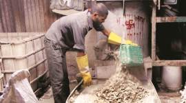 Maharasthra, Maharasthra elections, Madhya Pradesh polls, Dharavi, Dharavi seat, Dharavi slums, note ban, demonetisation, Shiv Sena, shiv sena-BP alliance, lok sabha elections, lok sabha elections 2019