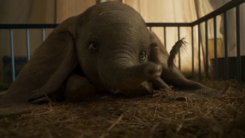 dumbo stills