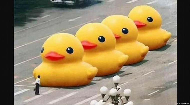 memes, eu law, eu law could ban memes, eu law meme, eu law ban memes, meme banned by eu law, eu law can ban memes, eu