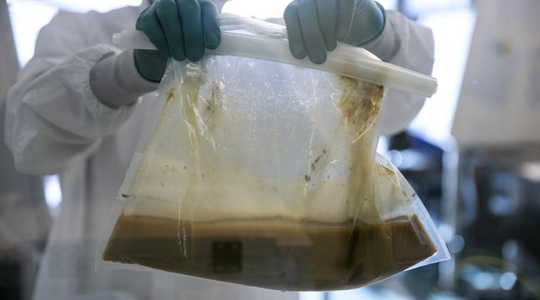 Donated fecal material in the middle of the processing procedure 