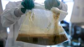 Donated fecal material in the middle of the processing procedure