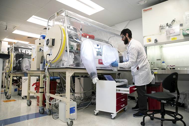 A researcher works to select fecal bacterial colonies 