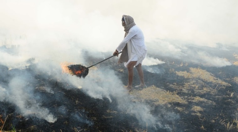 quema de residuos de cultivos, emisiones urbanas, Sostenibilidad de la naturaleza, Organización Mundial de la Salud, indian express, indian express news,