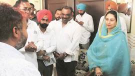 harsimrat badal, harsimrat kaur badal, punjab, ludhiana, parliamentary constituency, lok sabha elections, lok sabha polls, indian express