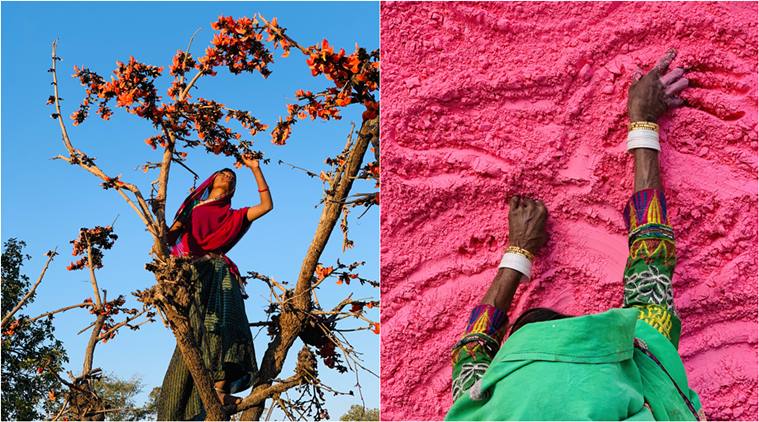 Happy Holi 2019 Stunning Photos Show The Making Of Natural Colours