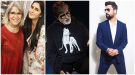 Katrina Kaif, Amitabh Bachchan, Vicky Kaushal social media videos