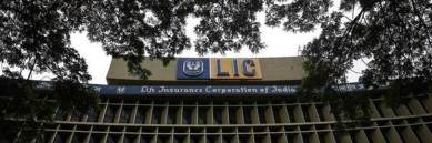 Irdai panel may identify LIC as systematically important insurer