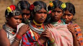 Forest Rights Act, FRA validation, Supreme Court hearing on FRA validation, tribals and forest-dwellers, Indian Expres news