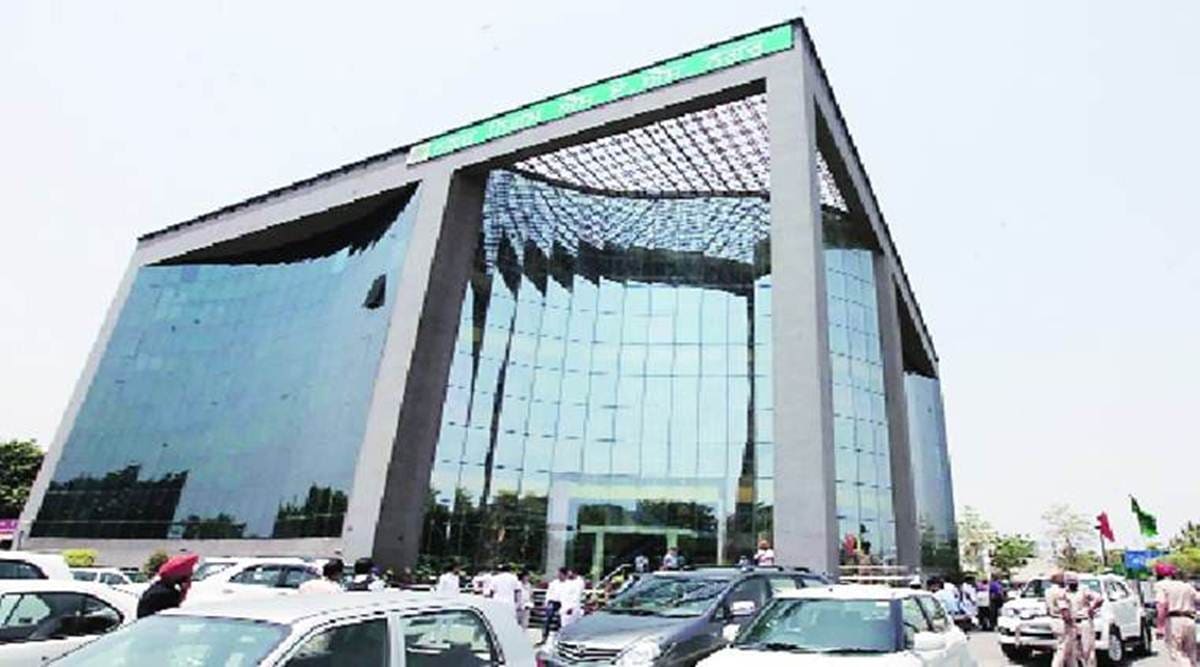 Mohali tree-pruning, Mohali tree-pruning machine, Mohali Municipal Corporation, Mohali Municipal Corporation tree-pruning, Chandigarh news, city news, Indian Express