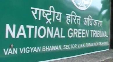 The green panel said it was extremely dissatisfied with the solid waste management in the city and the AAP government cannot just lie back and shun its responsibilities.