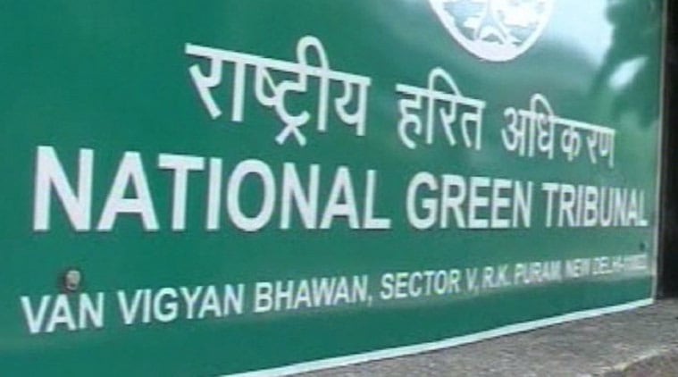 The green panel said it was extremely dissatisfied with the solid waste management in the city and the AAP government cannot just lie back and shun its responsibilities.