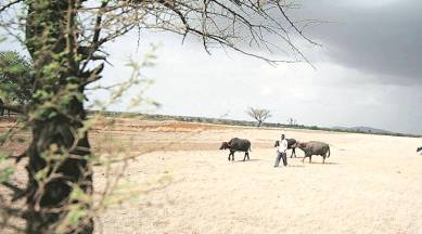 Maharashtra: Drought-hit rural seats pose challenge to BJP