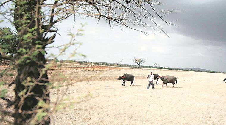 Pune drought, drought in pune, marathwada drought, pune news, indian express