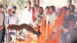 Punjab FDA officer murder case: Accused was known for selling drugs, shop raided many times, license suspended in 2006