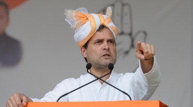 rahul gandhi, rahul gandhi income, rahul gandhi source of income, rahul gandhi assets, ravi shankar prasad, election news, lok sabha elections 2019