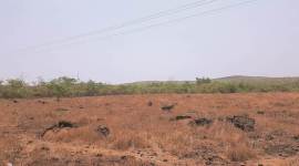 In BJP-Sena deal, price is Konkan refinery, as Fadnavis gives in to ally