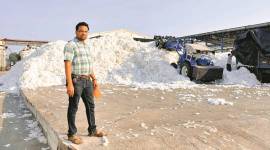 White gold: How a revolution was reversed