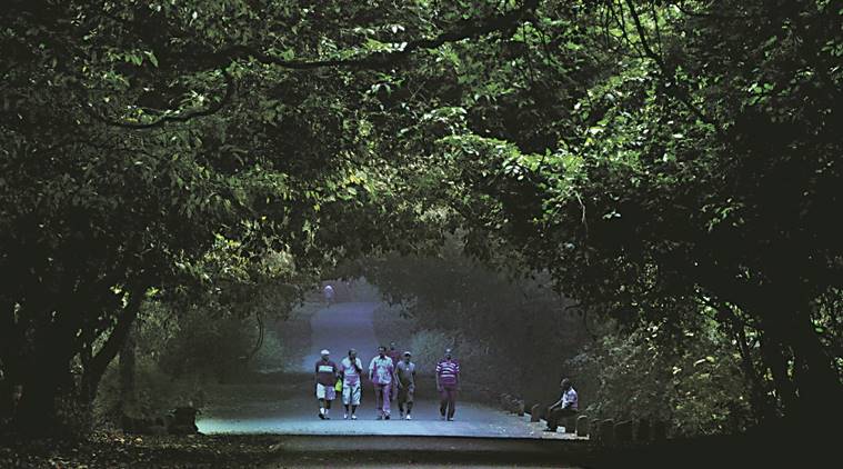 Forest dept survey: 47 leopards in Mumbai's Sanjay Gandhi National Park, nearby areas