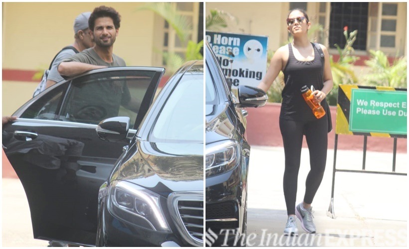 shahid kapoor, mira rajput