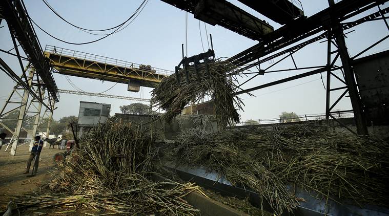 Sugar mills protest ‘high’ sales quota, say it will make clearing cane dues difficult