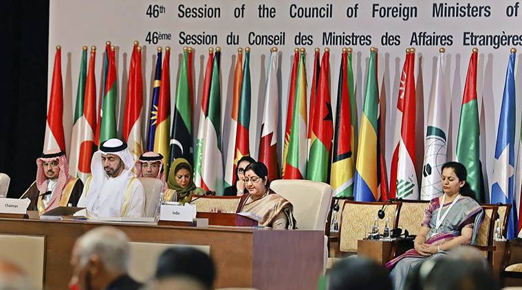 Sushma Swaraj, Sushma Swaraj OIC, OIC Sushma Swaraj, Sushma Swaraj Abu Dhab, Abu Dhabi, Talmiz Ahmad, Organisation of Islamic Cooperation, OI summit Abu Dhabi, Abu Dhabi OIC summit, Indian express, latest news
