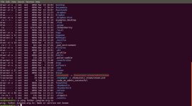 UNIX command, internet, world wide web