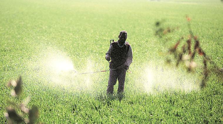 Minister Nitin Gadkari’s urine-to-urea idea: Experiments and constraints
