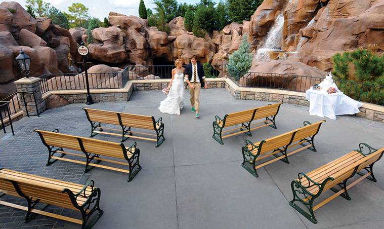 Disney Animal Kingdom, Disney Tree of Life, Disney new wedding venues