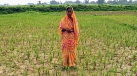 woman farmers, Maharashtra lockdown, Coronavirus outberek, Maharashtra news, Indian express news