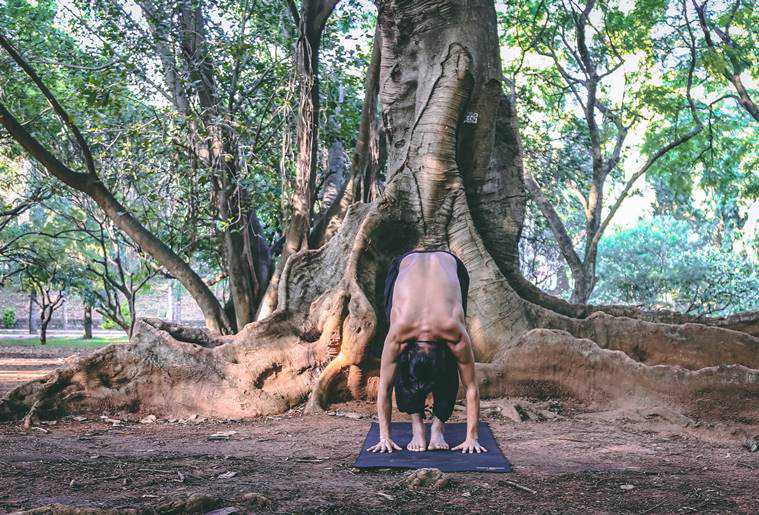 yoga, yoga asana, health, indian express, fitness