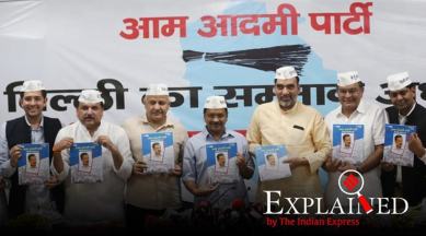 Explained: Key takeaways from AAP manifesto