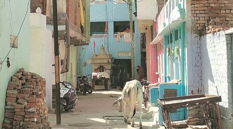 lok sabha elections 2019, Bhim Army, Bhim Army elections, Chandrashekhar Azad, Chandrashekhar Azad bhim army, Chandrashekhar Azad rally, SC/ST Prevention of Atrocities Act, lok sabha polls, general elections 2019, election news, indian express