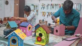 The Birdbox Challengers Maharashtra sparrows