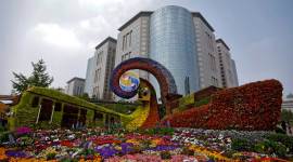 China Belt and Road Forum Explained: What to expect from the second Belt and Road Forum