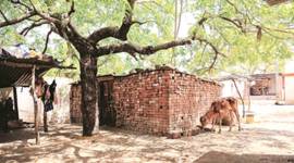 lok sabha election, lok sabha elections 2019, lok sabha polls, lok sabha elections maharashtra, maharashtra elections, elections in maharashtra, nanded, ashok shankarro chavan, independent candidate, evm, election news, indian express news