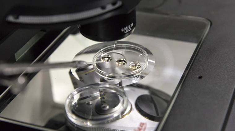 China's demand for ,000 gene-altered lab mice is skyrocketing