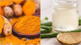 turmeric, haldi, ayurveda, indian express, aloe vera world liver day