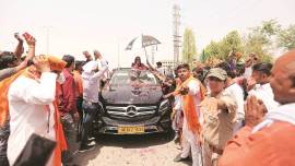 On the Loose: Charm Offensive