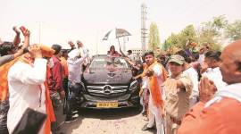 On the Loose: Charm Offensive