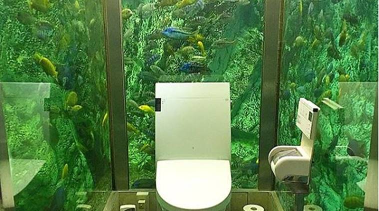 Enjoy A Gorgeous Aquatic View At This Cafe S Bathroom In Japan Lifestyle News The Indian Express