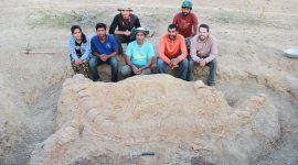 dinosaur fossil india, dinosaurs india, dinosaur fossils
