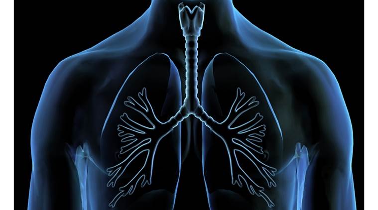 lung cancer, lung disease, gene modification, lung disease, indian express, indian express news