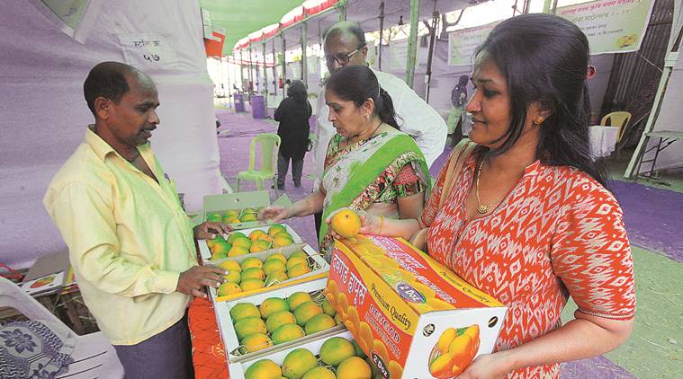 Pune: Alphonso term ‘used rampantly’, mango growers from state seek to protect exclusivity of product