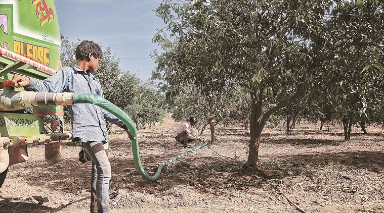 Marathwada's agrarian crisis, BJP's nationalism campaign