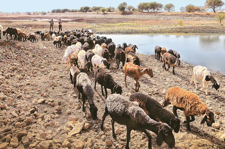 Marathwada's agrarian crisis, BJP's nationalism campaign