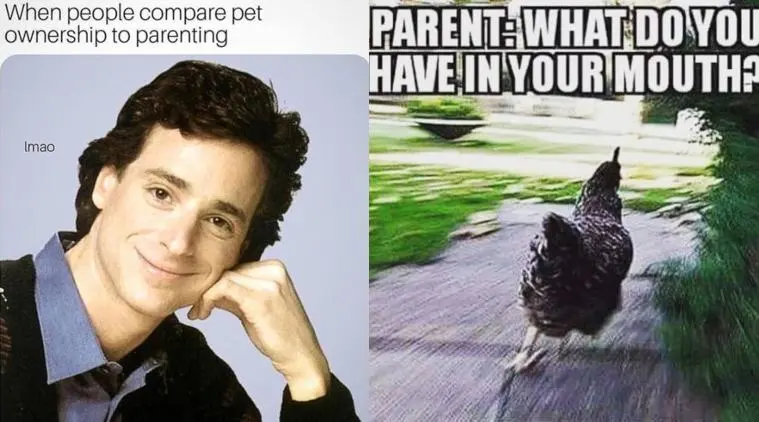 funny parenting memes