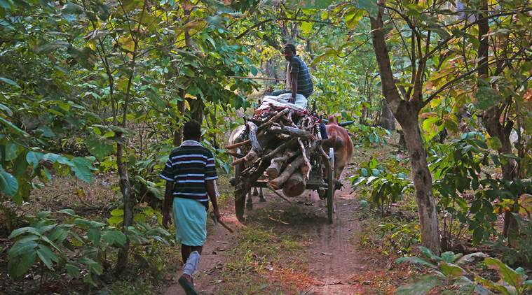 telegana, safari, telegana safari, telegana trip, indian express, indian express news