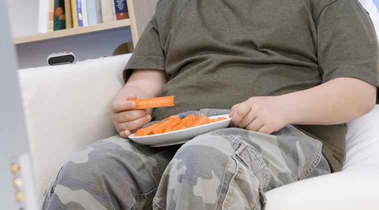 obesity, obesity memory, obesity memory, obseity memory loss, indian express, indian express news